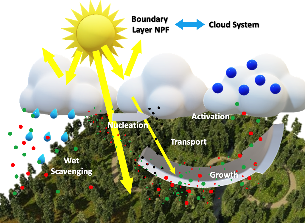 BL NPF Clouds